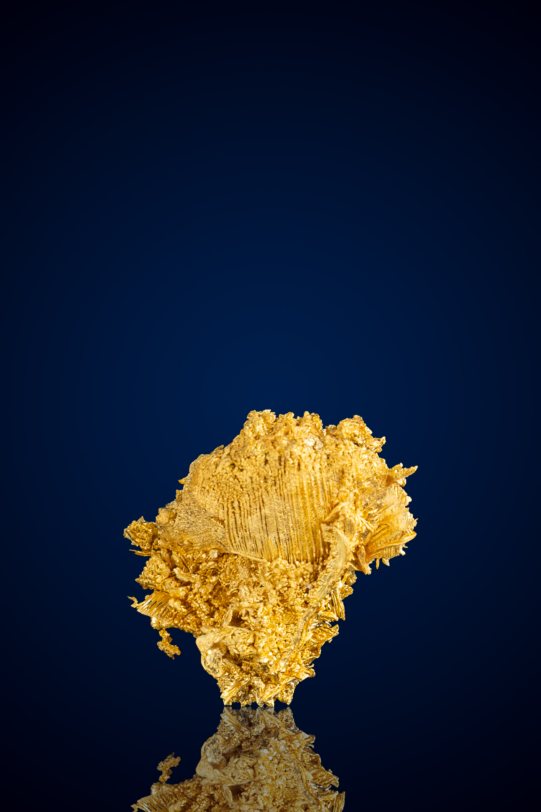 Brilliant, Intricate Crystallized Gold Nugget - Round Mountain, NV - 2.18 grams (image for) Brilliant, Intricate Crystallized Gold Nugget - Round Mountain, NV - 2.18 grams